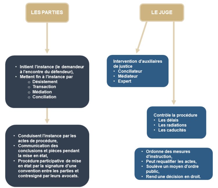 L'action En Justice [Organisation Judiciaire : Principes Directeurs Du ...