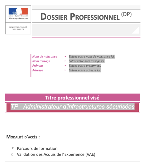 Format Du Dossier Professionnel [Dossier Professionnel Et Le Dossier ...